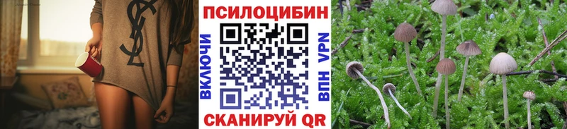 Псилоцибиновые грибы MAGIC MUSHROOMS Кандалакша